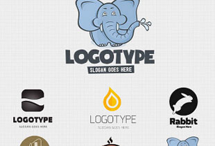 虚拟点卡充值的ddos网页端